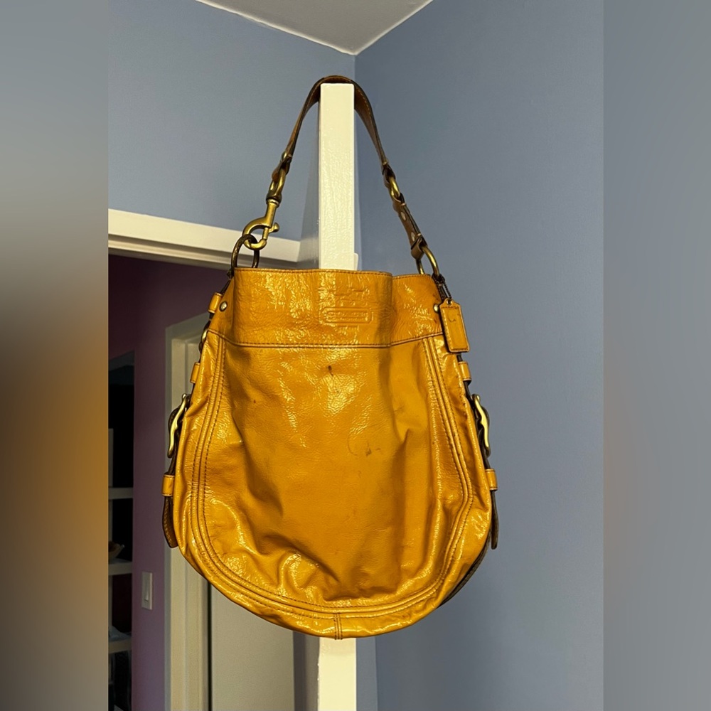 Coach Y2K Zoe Hobo Bag